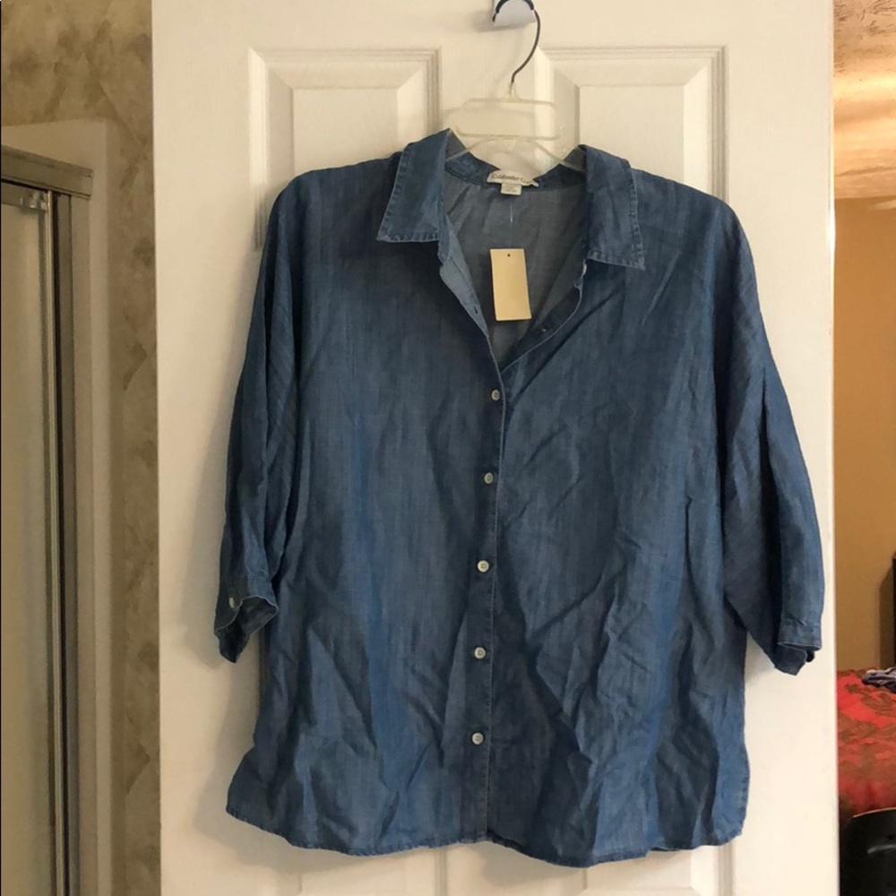 Coldwater Creek Tencel Dolman shirt. 2x.